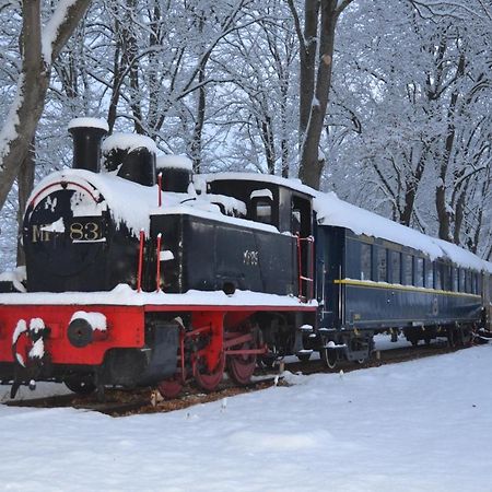 Le Train Des Reves Hotel Dracy-Saint-Loup Exterior foto